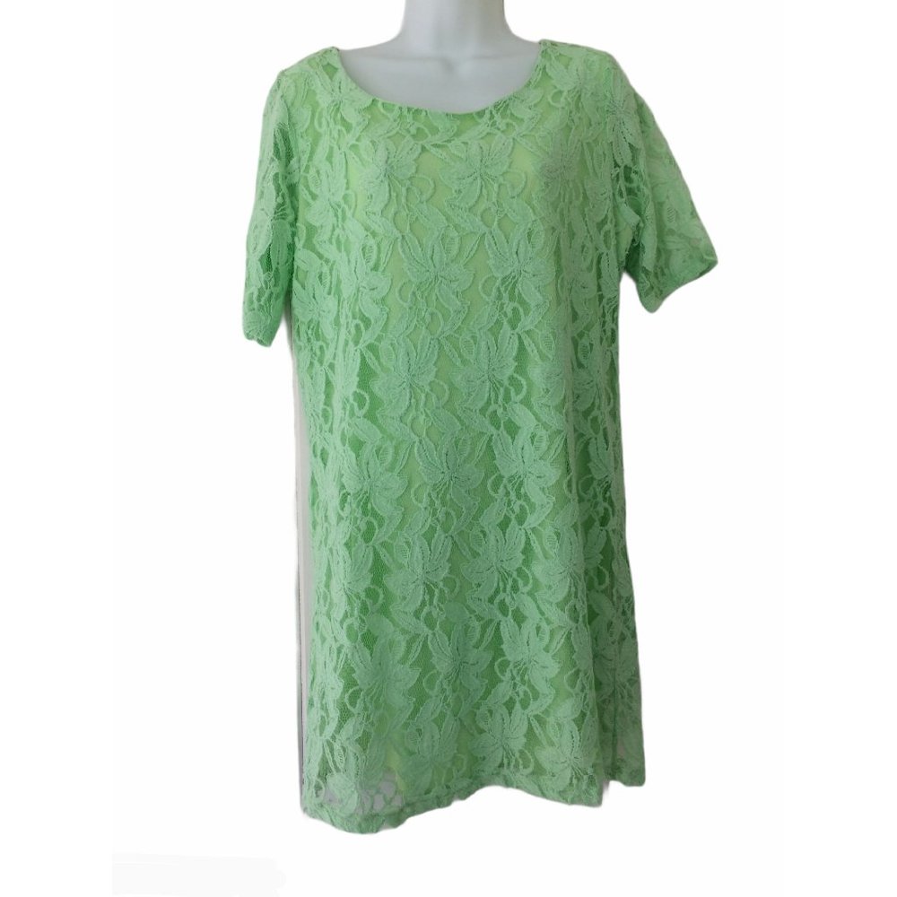 Tinley Pale Green Lace Shift Dress Size L